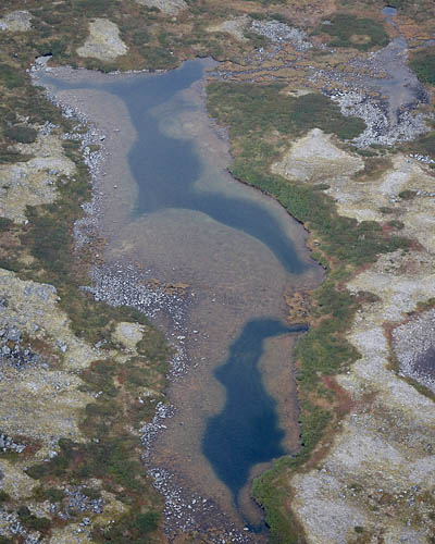 Tundra Ponds