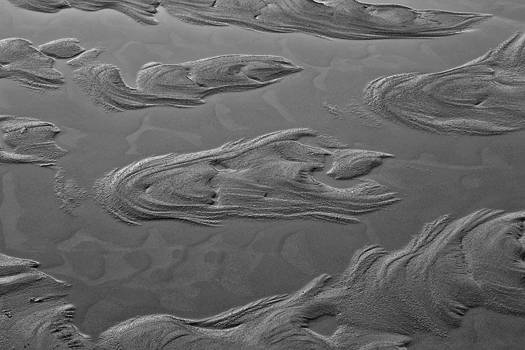 Sand Forms