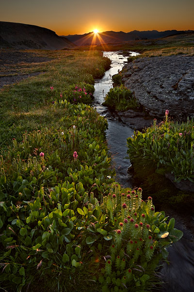 Summer Alpine Sunrise